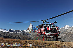 F079793: Matterhorn und Helikopter
