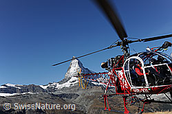 F079796: Helikopter der Air Zermatt vor Matterhorn
