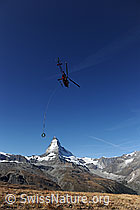 F079798: Transportflug