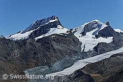 Foto: Rimpfischhorn, Strahlhorn und Adlerhorn