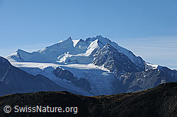 Foto: Mischabelgruppe im Morgenlicht