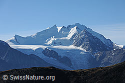 Foto: Mischabelgruppe und Riedgletscher