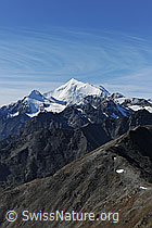 F079952: Blick vom Gipfel des Augstbordhorns zur Weisshorngruppe