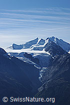 F079955: Riedgletscher und Mischabelgruppe