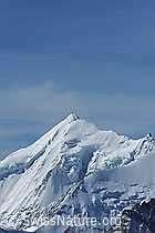 Foto: Portrait Weisshorn