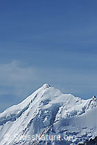 Foto: Gipfelportrait Weisshorn
