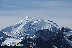 Foto: Blick vom Augstbordhorn zu Weisshorn und Bishorn