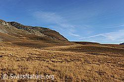 F080143: Herbst in Hochebene am Simplon