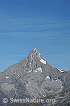 F080189: Bietschhorn von S