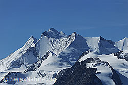 F080210: Mischabel: Täschhorn, Lenzspitze, Dom, Nadelhorn, Stecknadelhorn und Dürrenhorn