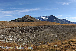 F080267: Ausgetrockneter Bergsee und Fletschhorn