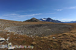 F080271: Trockenheit