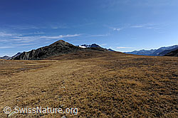 F080278: Weite Ebene