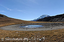 F080280: Bergsee bei Trockenheit