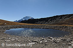 F080290: Trockenheit in den Alpen