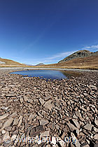 F080305: See in Ebene droht auszutrocknen