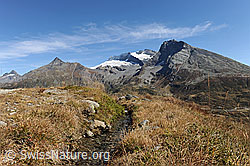 F080335: Bisse (Suone) in Walliser Berglandschaft