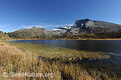 F080349: Am Ufer eines Bergsees
