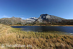 F080361: Berglandschaft mit blauem Bergsee