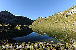 F080621: Spiegelung der Berglandschaft im Sulsseewli