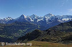 F080660: Herbstliche Berglandschaft mit Eiger, Mönch und Jungfrau
