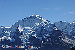 F080663: Jungfrau, Silberhorn und Gletscherhorn