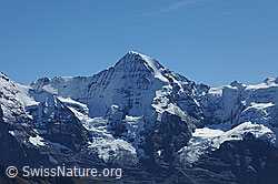 F080664: Mönch (Nordwand und Nollen). Rechts das Jungfraujoch