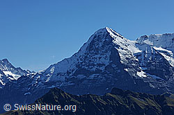 F080665: Eiger (Eigernordwand und Westflanke)