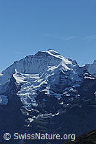 Foto: Jungfrau mit Guggigletscher