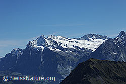 Foto: Wetterhorn, Mittelhorn, Rosenhorn und Bärglistock