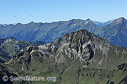 F080672: Morgenberghorn