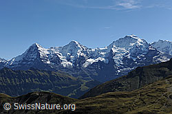 Photo: Eiger, Mönch und Jungfrau