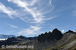 F080678: Bietenhorn und Lobhörner