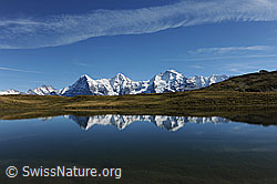 F080708: Spiegelbild des Dreigestirns