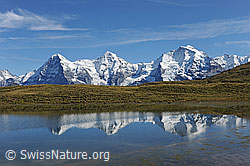 F080712: Eiger, Mönch, Jungfrau mit Spiegelung