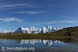 F080714: Spiegelung von Eiger, Mönch und Jungfrau