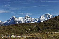 F080722: Dreigestirn