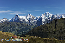 F080723: Dreigestirn Eiger, Mönch Jungfrau