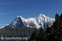 Photo: Eiger und Mönch