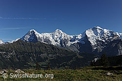 F080734: Dreigestirn Eiger, Mönch und Jungfrau