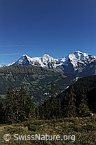 F080735: Eiger, Mönch, Jungfrau
