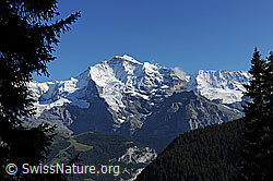 Foto: Jungfrau und Silberhorn