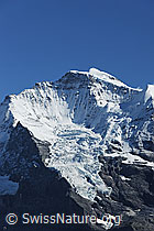 F080748: Giesengletscher und Gipfel der Jungfrau