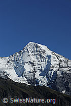 Photo: Mönch Nordwand