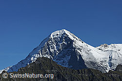 F080750: Eiger