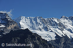 Foto: Schwarz Mönch, Ebnefluh und Mittaghorn