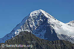 F080757: Tschuggen und Eiger
