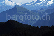 F080773: Buochserhorn