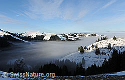 F081850: Nebelstimmung und Nebelmeer im Emmental