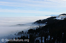 F081854: Nebelmeer und Nebelgrenze im Hügelland